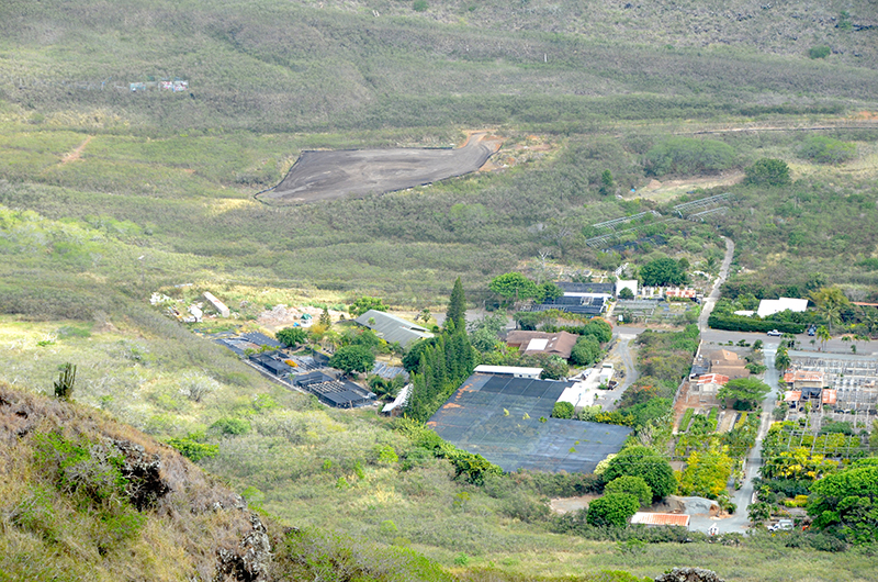 Kamilo Nui Valley 1